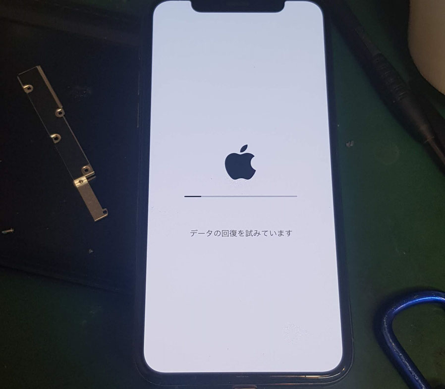 リンゴが点いては消えのループでデータ回復
